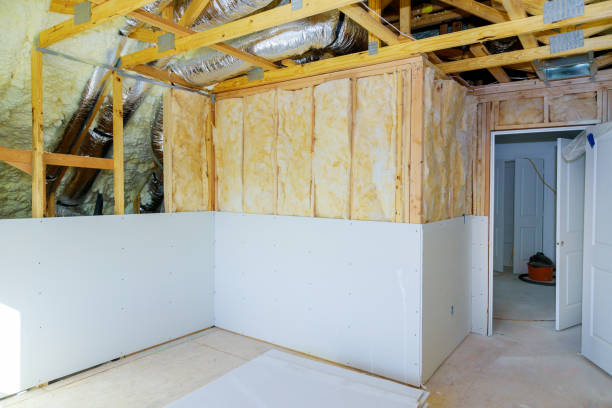 Best Blown-in Insulation in Los Ranchos, CA