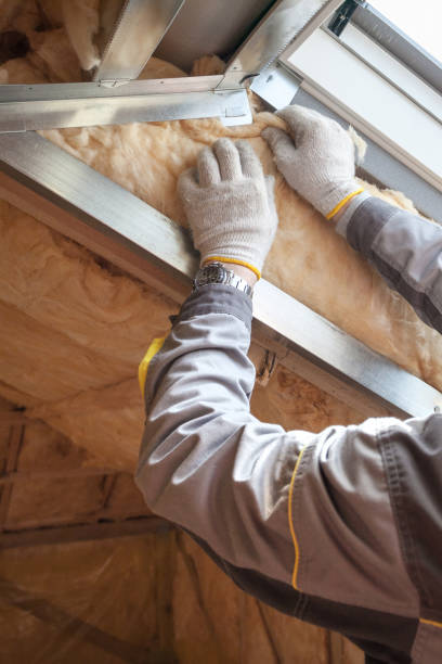 Best Eco-Friendly Insulation in Los Ranchos, CA