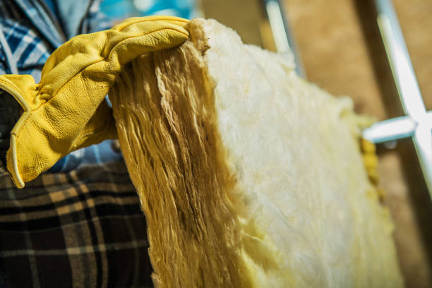 Best Geographic-Specific Insulation Services in Los Ranchos, CA
